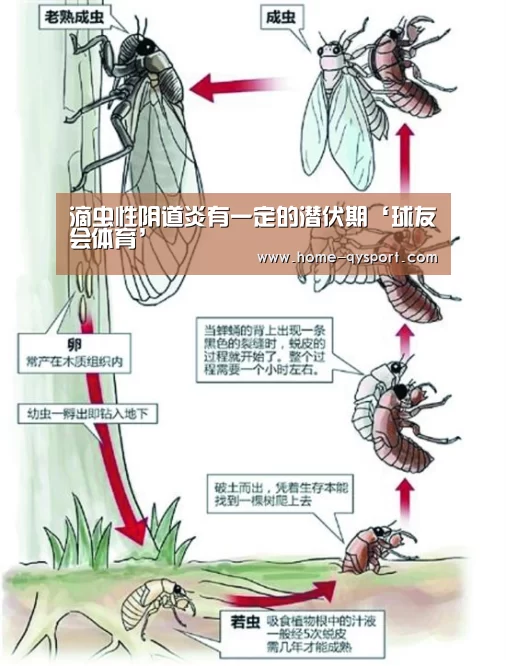 球友会